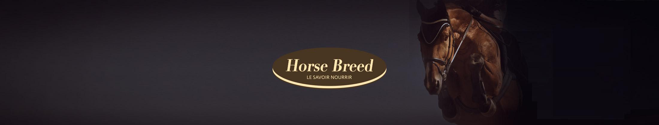game sport horse breed