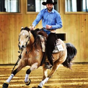Horse Breed et Arnaud Randoin 